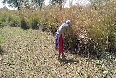 Outdoor desi sex video of pervert and a laborer on the farm