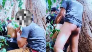 Outdoor xxx video of a couple fucking below a big tree